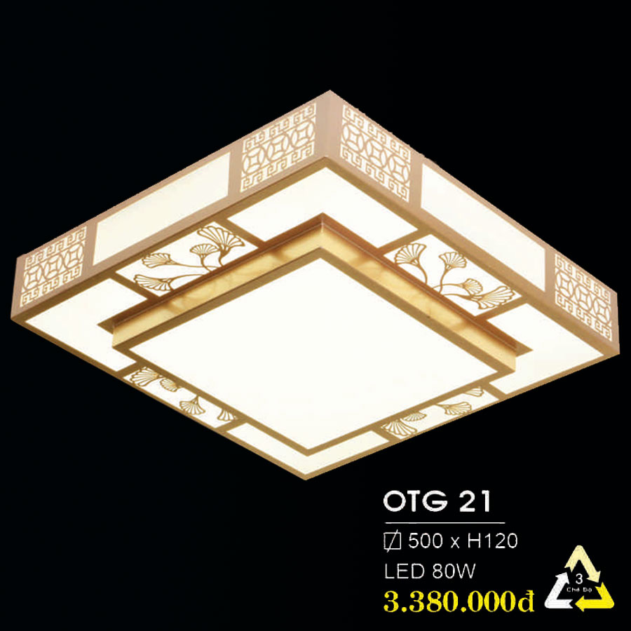 Đèn Ốp Trang Trí Hiện Đại Năm 2022 OTG-21