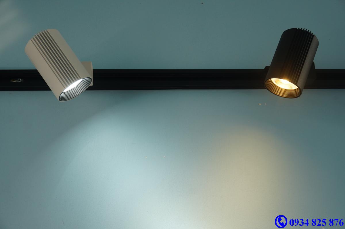 Đèn ray roi FSW10W COB