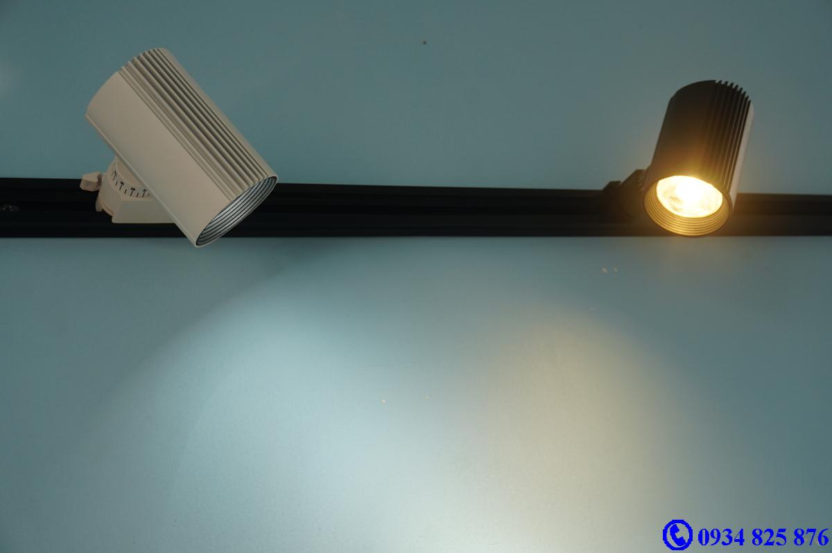 Đèn ray roi FSW10W COB
