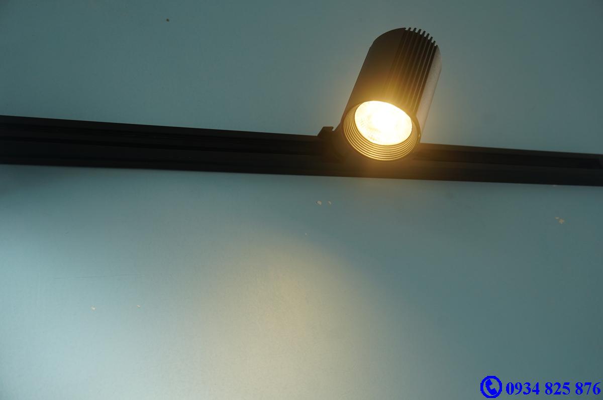 Đèn ray roi FSW10W COB