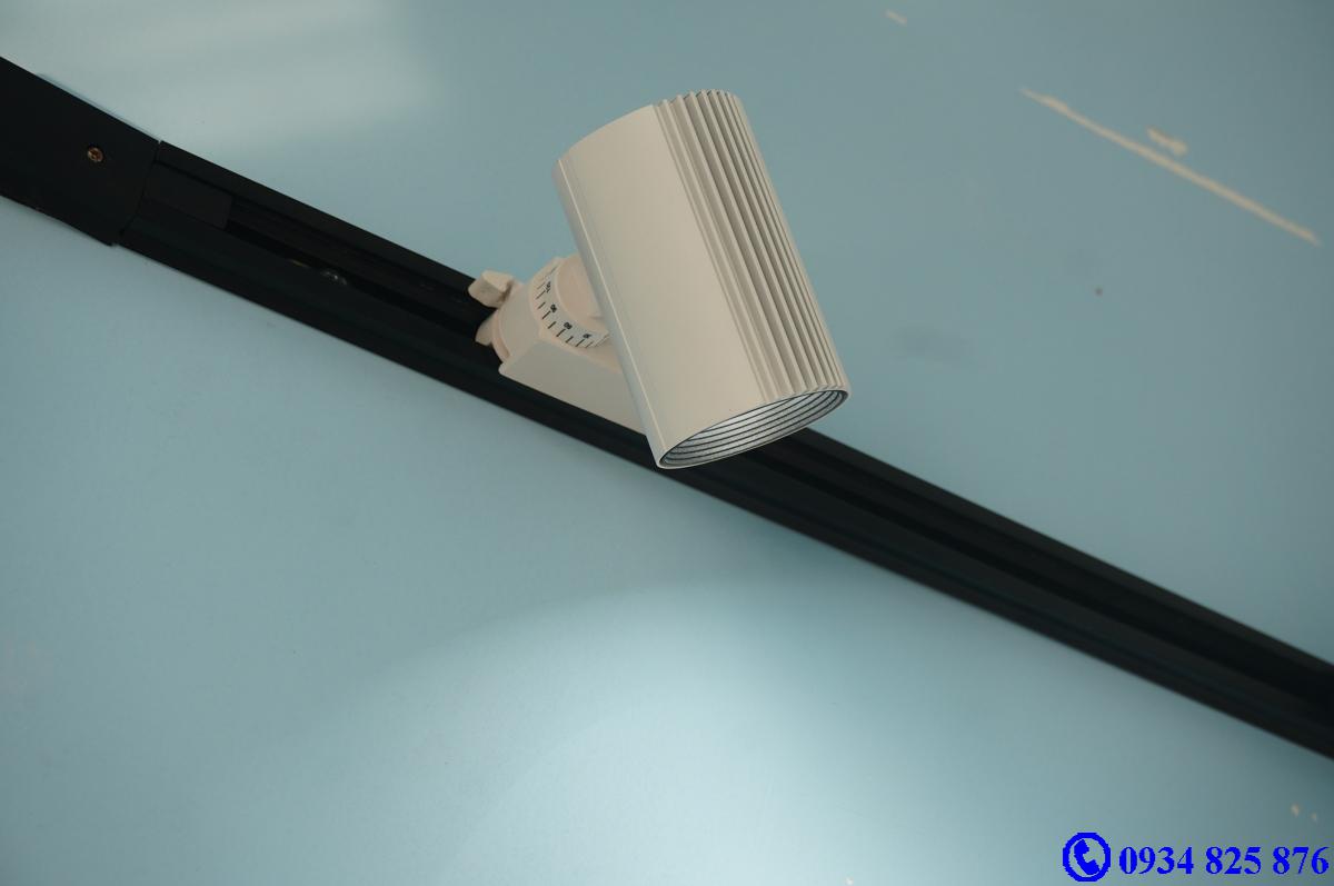 Đèn ray roi FSW10W COB