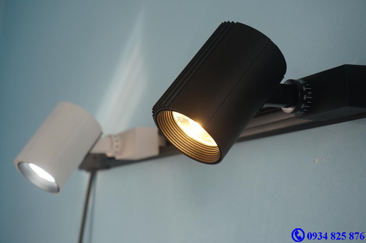 Đèn ray roi FSW10W COB