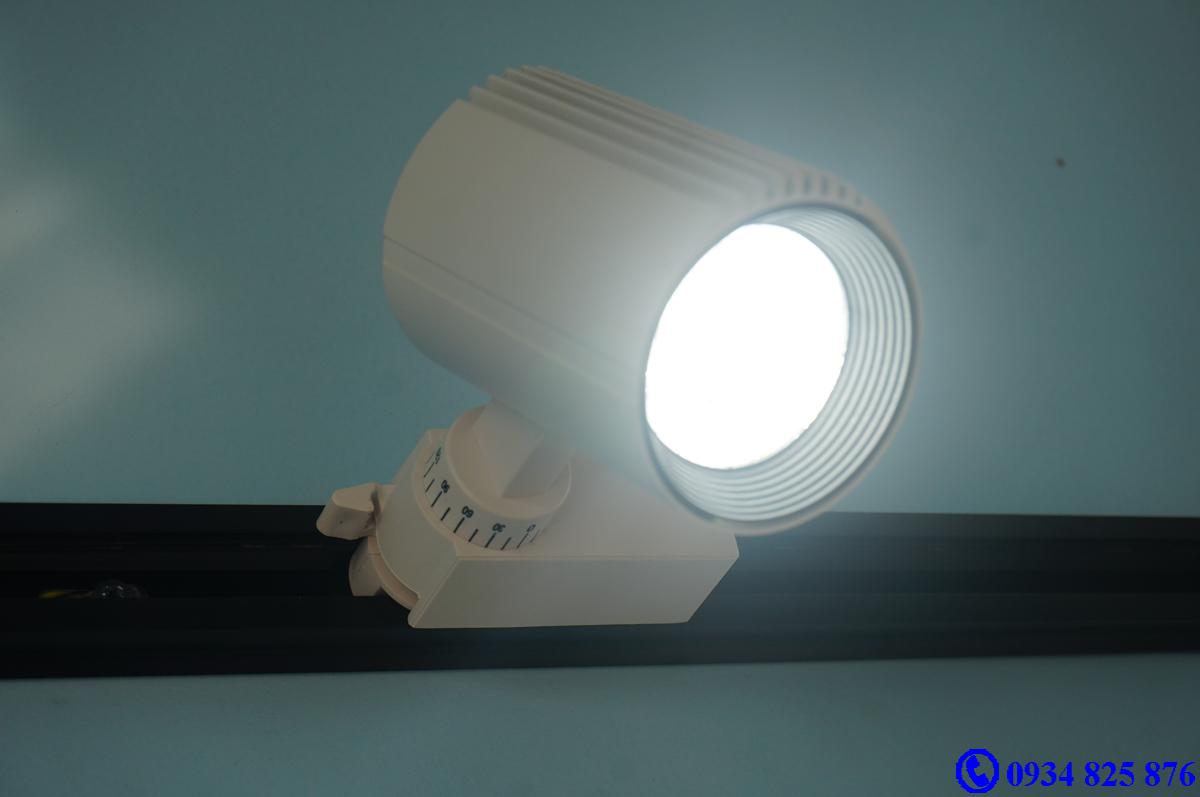 Đèn ray roi FSW10W COB