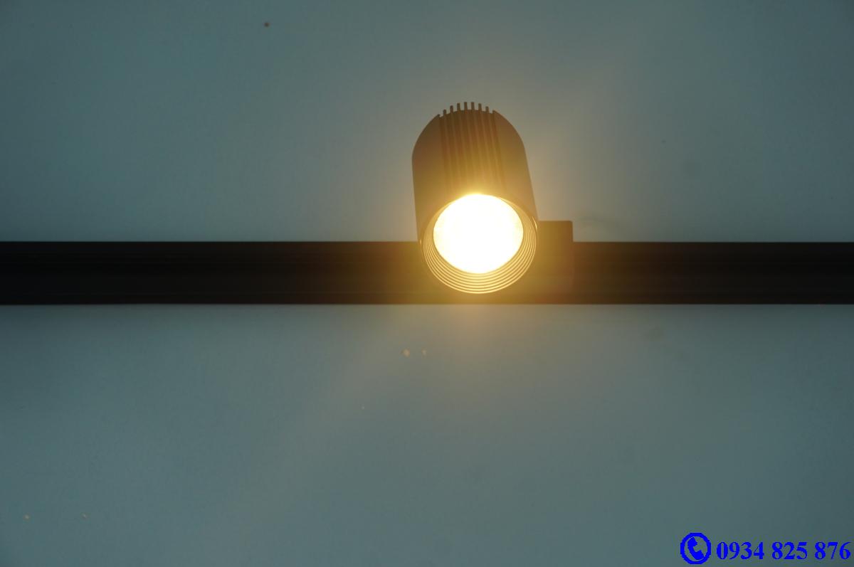 Đèn ray roi FSW10W COB