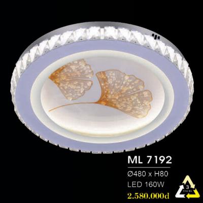 Đèn Ốp Trang Trí Hiện Đại ML-7192