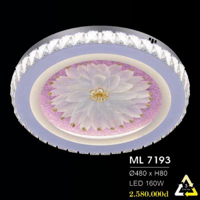 Đèn Ốp Trang Trí Hiện Đại ML-7193