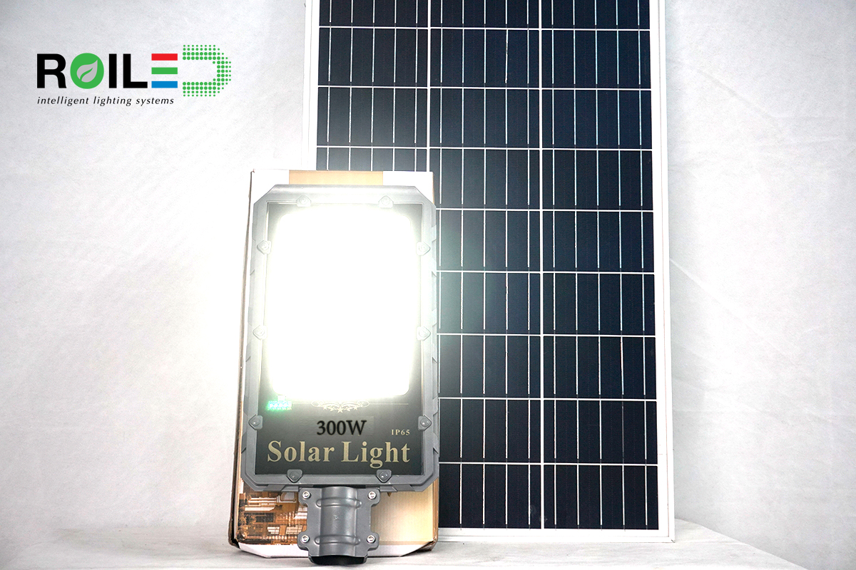 Đèn năng lượng Roiled RD300W| Tấm pin rời